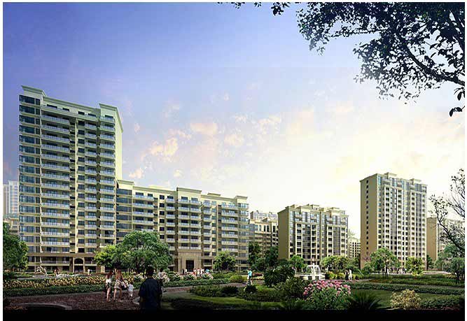 XX珍品——都市精英珍藏的